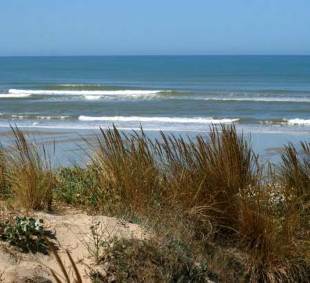 La gironde est bordée à l'ouest par de longues plages de sable fin propicent à la baignade et à la farniente