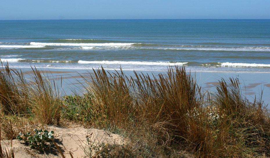 Camping en Gironde à Montalivet