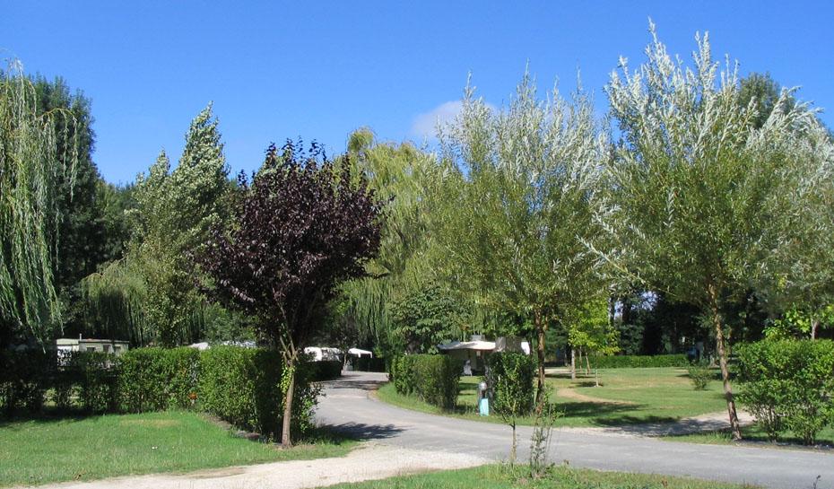 Camping en Gironde à Montalivet